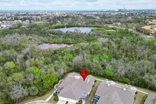 221 Sela Cove Cir, Apollo Beach, FL 33572 - Photo 52