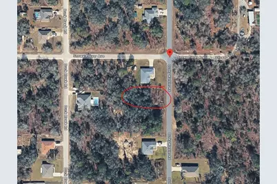 15057 Dusky Warbler Road, Weeki Wachee, FL 34614 - Photo 2