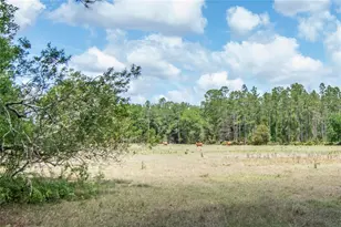 5400 Bruton Rd, Plant City, FL 33565 - Photo 36