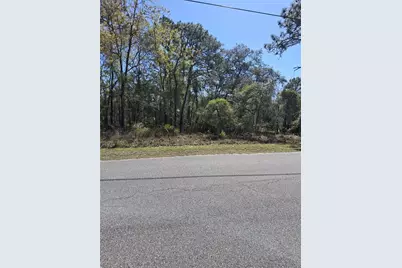 11500 Lomita Wren Road, Weeki Wachee, FL 34614 - Photo 4