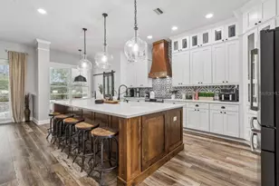 19127 Centre Rose Blvd, Lutz, FL 33558 - Photo 4