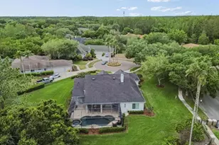 19127 Centre Rose Blvd, Lutz, FL 33558 - Photo 74