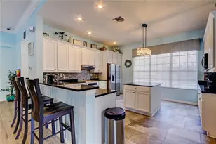 5245 Gato Del Sol Cir, Wesley Chapel, FL 33544 - Photo 72