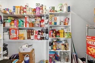 33479 Elm Hl Br, Wesley Chapel, FL 33545 - Photo 14