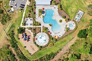 33479 Elm Hl Br, Wesley Chapel, FL 33545 - Photo 40