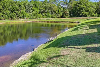 1737 Virginia Willow Drive, Wesley Chapel, FL 33544 - Photo 84