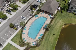 11504 Crowned Sparrow Ln, Tampa, FL 33626 - Photo 60
