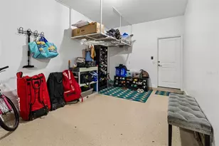 10316 Clover Pine Dr, Tampa, FL 33647 - Photo 36