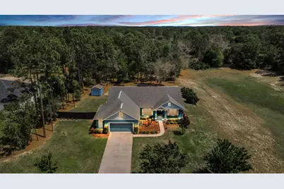 15747 Sago Drive, Brooksville, FL 34604 - Photo 1