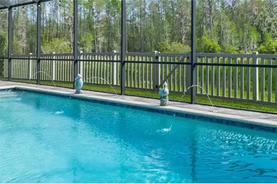 8306 Bluevine Sky Drive, Land O Lakes, FL 34637 - Photo 50