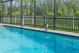 8306 Bluevine Sky Dr, Land O Lakes, FL 34637 - Photo 50