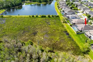 8306 Bluevine Sky Dr, Land O Lakes, FL 34637 - Photo 62