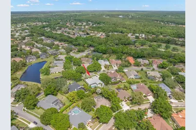 3692 Johnathon Avenue, Palm Harbor, FL 34685 - Photo 66