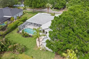 3692 Johnathon Ave, Palm Harbor, FL 34685 - Photo 64