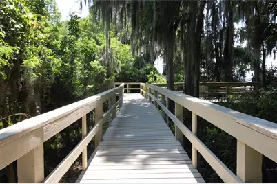 3692 Johnathon Avenue, Palm Harbor, FL 34685 - Photo 84