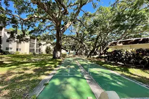 840 Virginia St, Dunedin, FL 34698 - Photo 24