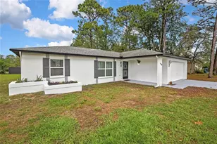 11323 Elgin Blvd, Spring Hill, FL 34608 - Photo 2