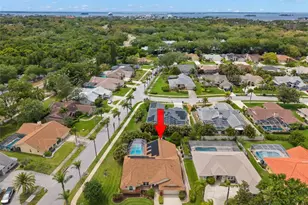 2686 Scobee Dr, Palm Harbor, FL 34683 - Photo 40