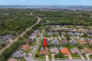 2686 Scobee Dr, Palm Harbor, FL 34683 - Photo 44