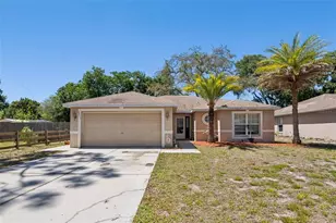 6633 Hone St, New Port Richey, FL 34653 - Photo 1