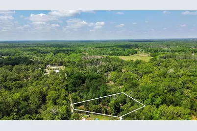 0 Muddy Water Trail, Thonotosassa, FL 33592 - Photo 24