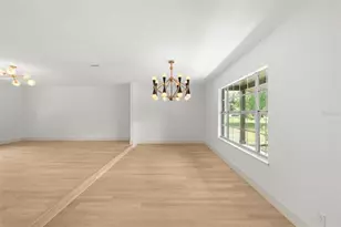 903 Lanewood Dr, Seffner, FL 33584 - Photo 12