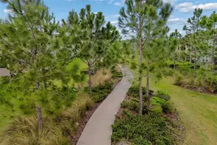 4565 Ancona Way, Wesley Chapel, FL 33543 - Photo 86