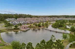 4565 Ancona Way, Wesley Chapel, FL 33543 - Photo 98