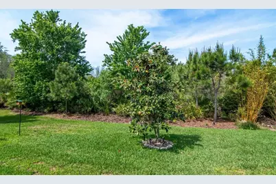 4169 Barletta Court, Wesley Chapel, FL 33543 - Photo 32