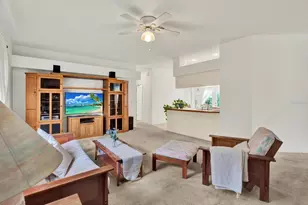 2433 Saddlewood Ln, Palm Harbor, FL 34685 - Photo 10