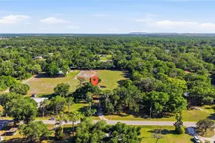 3430 Cribbs Dr, Mulberry, FL 33860 - Photo 46