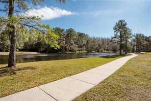 15618 Shoal Creek Pl, Odessa, FL 33556 - Photo 80