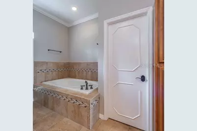 3902 Hidden Spring Place, Valrico, FL 33596 - Photo 20