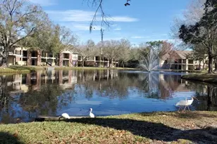 8723 Fancy Finch Dr, Tampa, FL 33614 - Photo 34