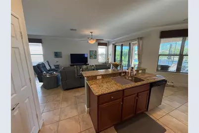 352 Laurel Falls Drive, Apollo Beach, FL 33572 - Photo 18