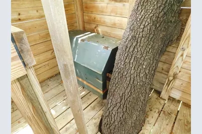 155 Marshall Street, Safety Harbor, FL 34695 - Photo 48