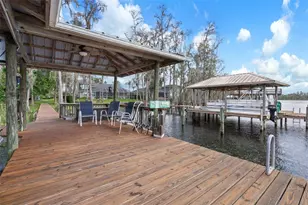 21133 Marsh Hawk Dr, Land O Lakes, FL 34638 - Photo 62