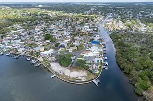 507 Driftwood Dr E, Palm Harbor, FL 34683 - Photo 92