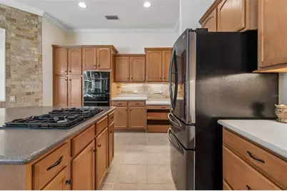 2731 Blue Springs Place, Wesley Chapel, FL 33544 - Photo 20