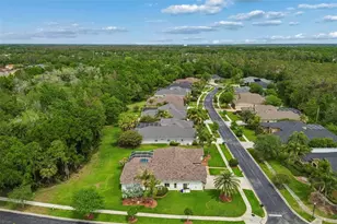 2731 Blue Springs Pl, Wesley Chapel, FL 33544 - Photo 60