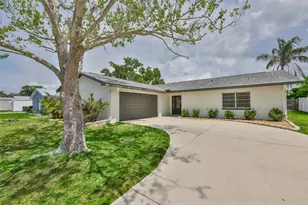 539 Red Mangrove Ln, Apollo Beach, FL 33572 - Photo 1