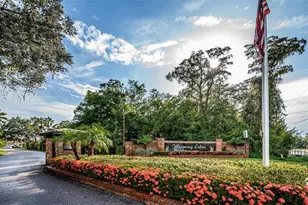 548 Manisha Pl, Tarpon Springs, FL 34688 - Photo 76