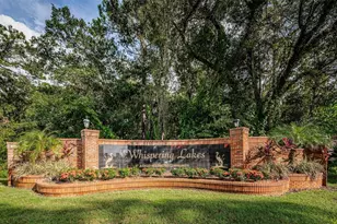 548 Manisha Pl, Tarpon Springs, FL 34688 - Photo 4