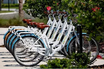 1655 Springwell Lane, Sarasota, FL 34240 - Photo 8