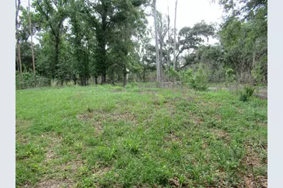 7814 Turkey Creek Road, Plant City, FL 33567 - Photo 6