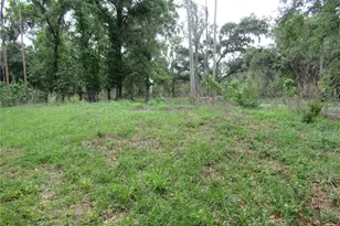 7814 Turkey Creek Rd, Plant City, FL 33567 - Photo 6