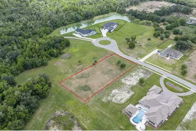 15322 Fishhawk Heights Run, Lithia, FL 33547 - Photo 4