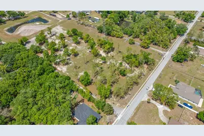 00 Hanna Road, Lutz, FL 33549 - Photo 12