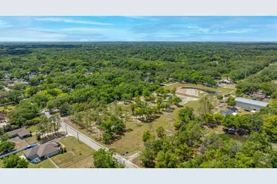 0 Hanna Road, Lutz, FL 33549 - Photo 22