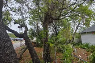 6010 S 4th St, Tampa, FL 33611 - Photo 14